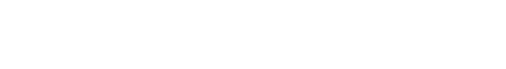 Nomad Cruise